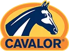 Czempion